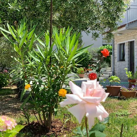 Bilic ゲストハウス プーラ